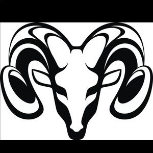 Meet your Posher, Lynn